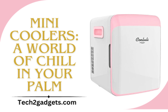 Mini Coolers: A World of Chill in Your Palm