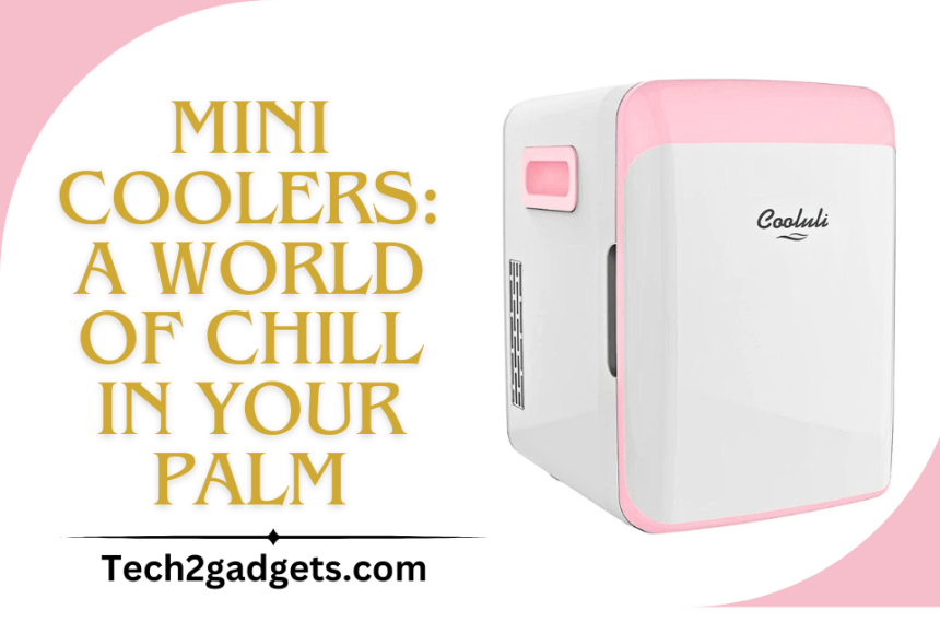 Mini Coolers: A World of Chill in Your Palm