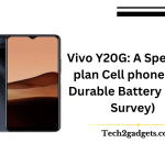 Vivo Y20G: A Spending plan Cell phone with Durable Battery (2024 Survey)